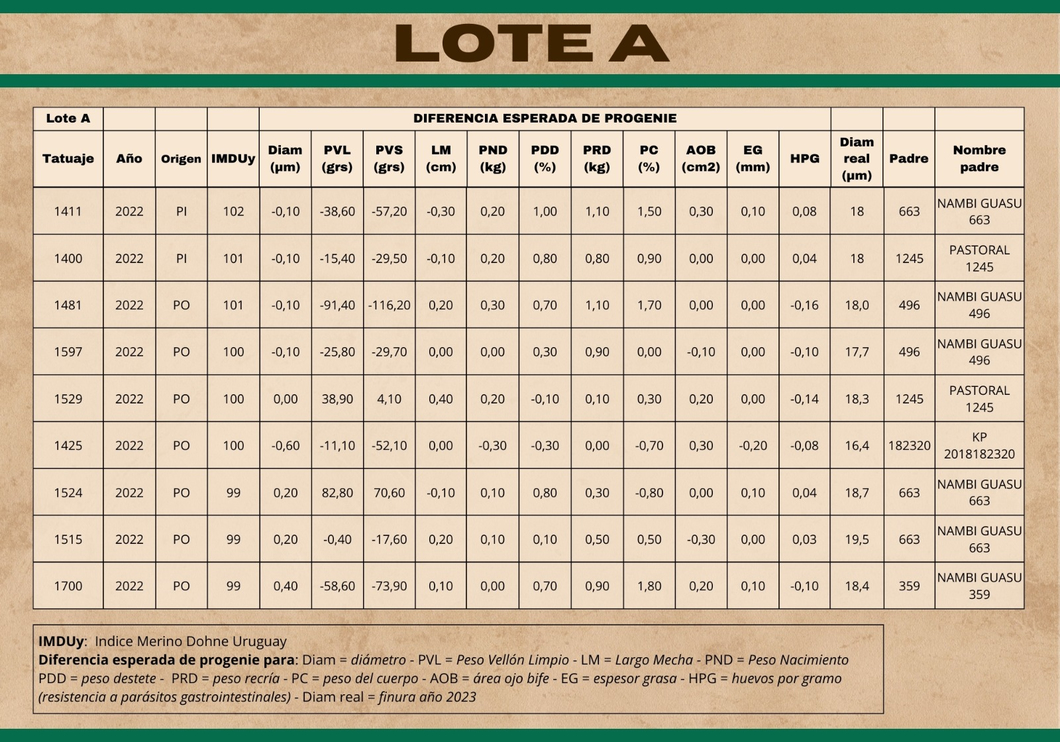 Lote (Vendido)Carneros a remate en Subasta Online - Nambi Guasu, Lavalleja