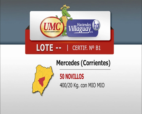 Lote 50 Novillos en Mercedes, Corrientes