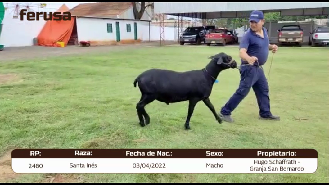 Lote LOTE 5