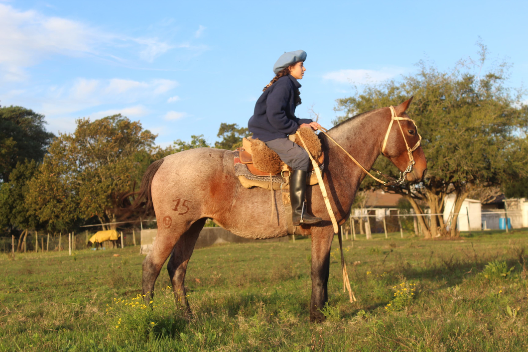 Lote GRINGA FAROLERA