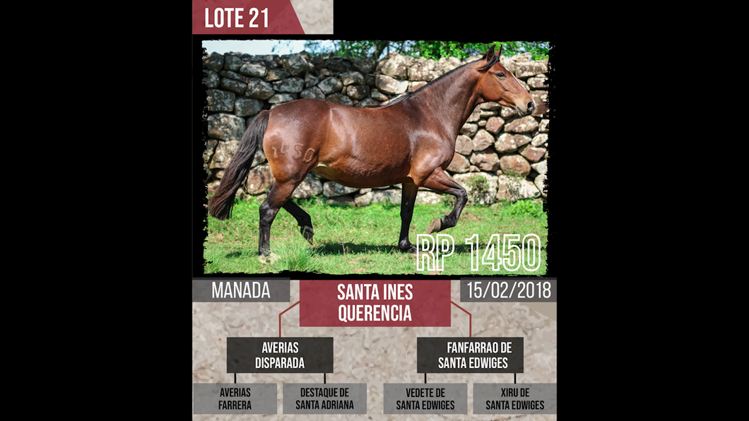 Lote SANTA INES  QUERENCIA