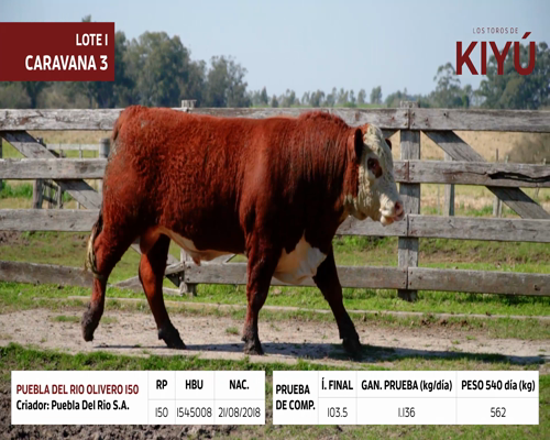 Lote PUEBLA DEL RIO OLIVERO 150