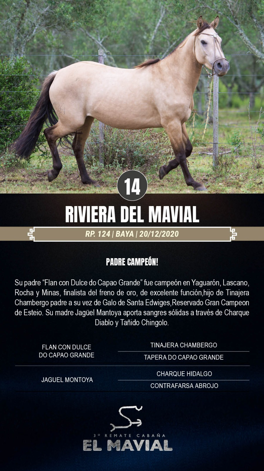 Lote Rivera del Mavial