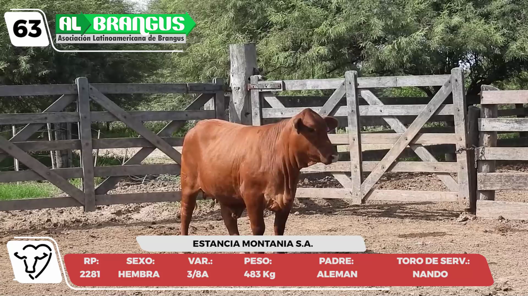 Lote LOTE 63 -CAMPO