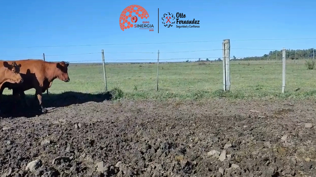 Lote Lote 23 A