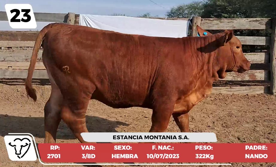 Lote LOTE 23