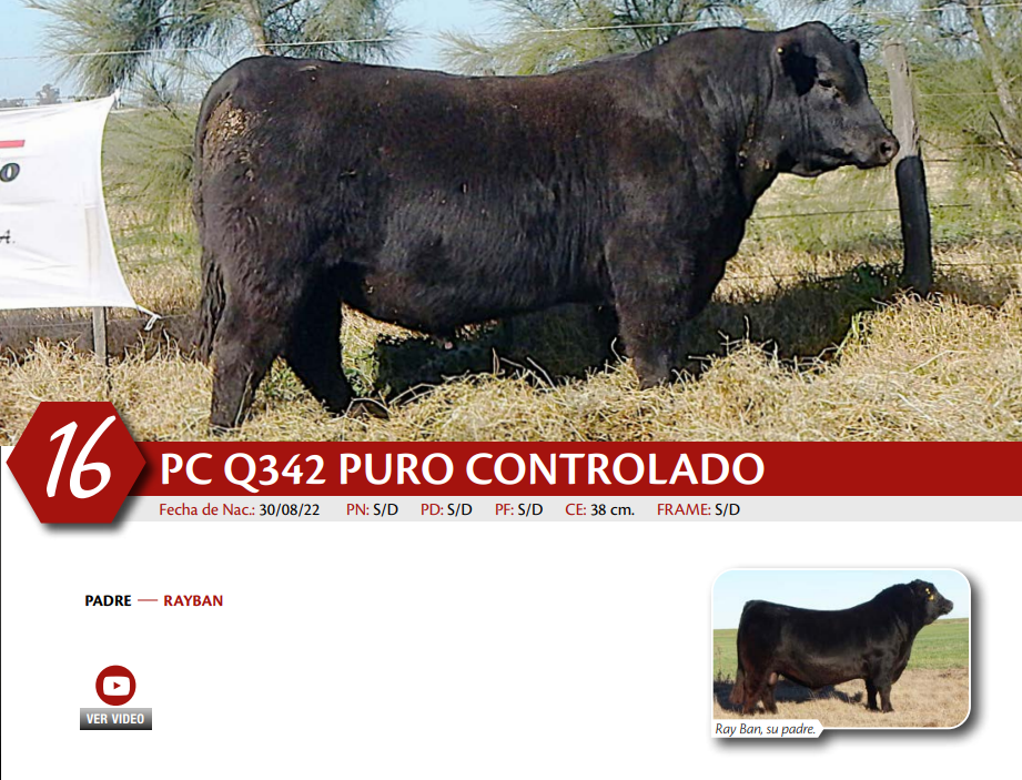 Lote MACHO PC