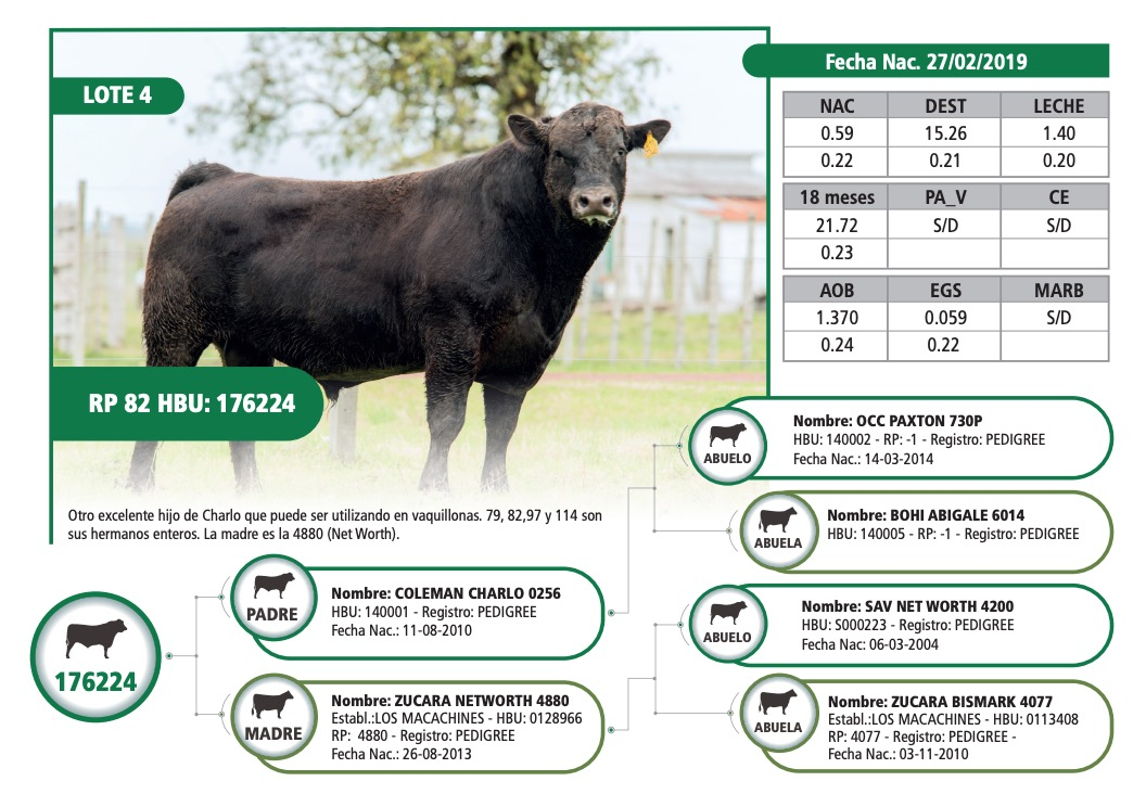 Lote RP 82