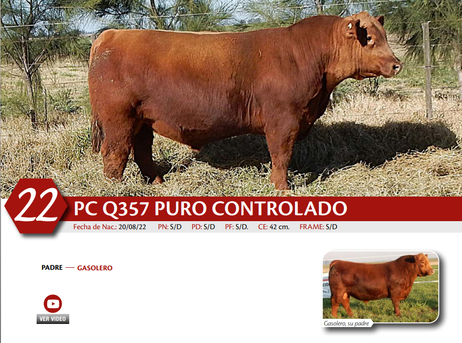 Lote MACHO PC