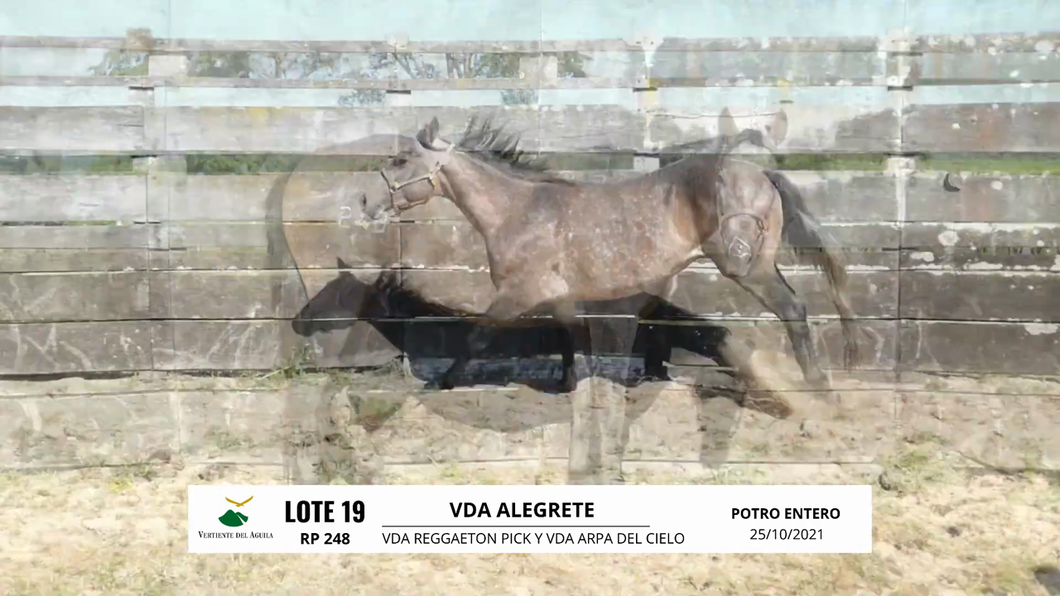 Lote VDA ALEGRETE