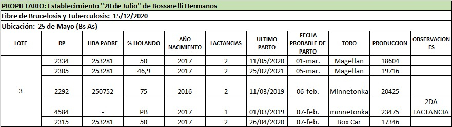 Lote Lote 3