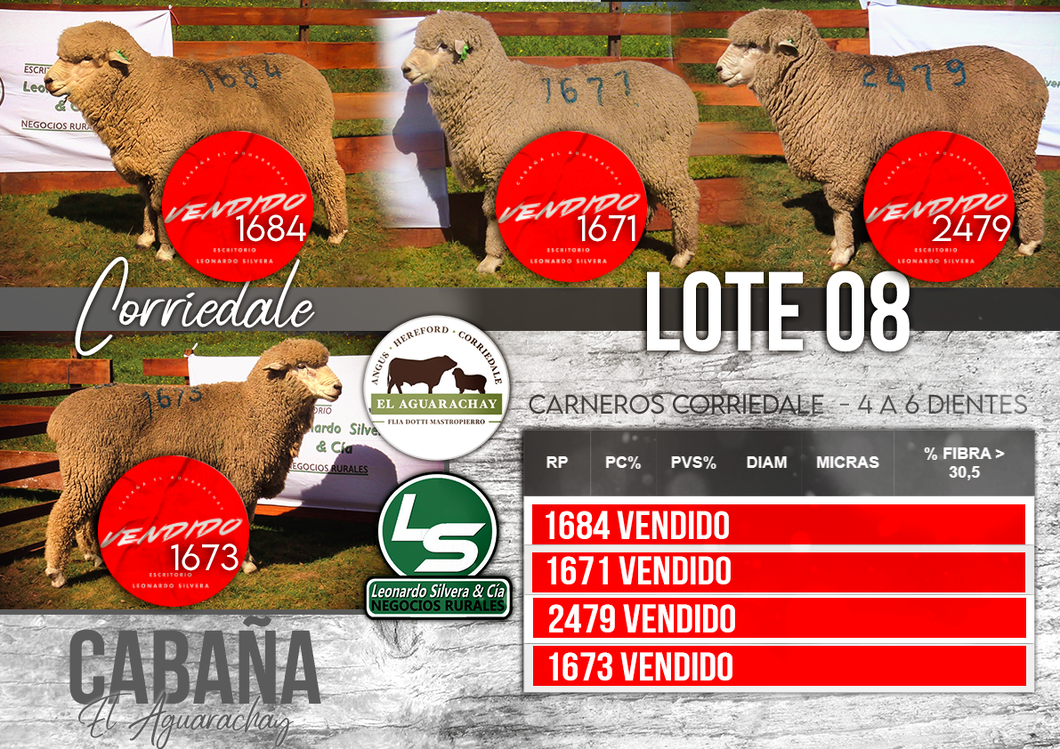 Lote LOTE 08