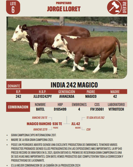 Lote LOTE 6