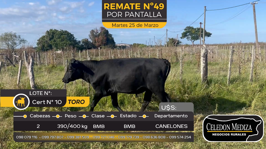 Lote 1 Toros en Juanicó, Canelones