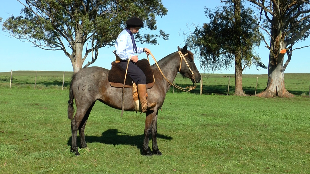 Lote GUAPA LA CARRETA