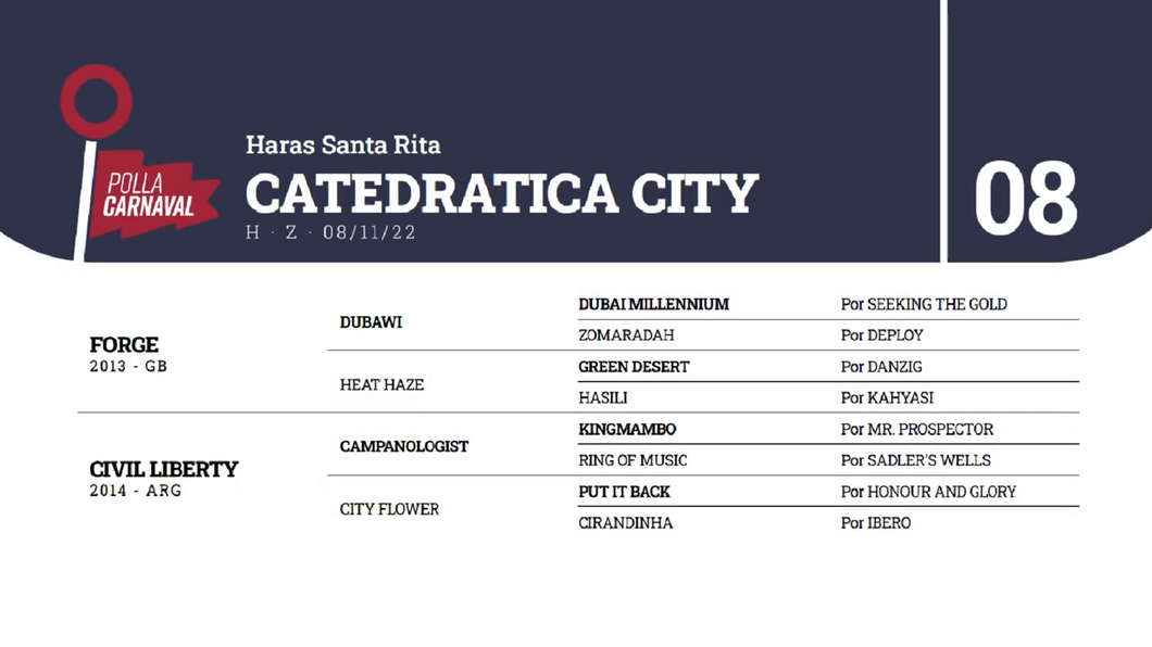 Lote CATEDRATICA CITY