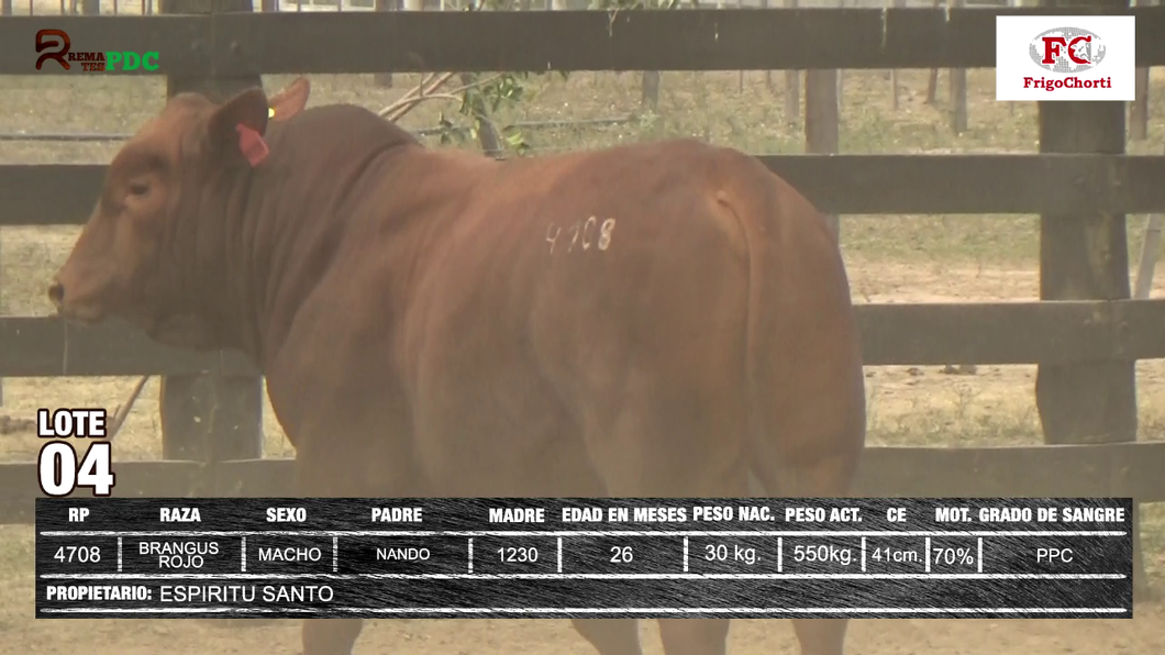 Lote ESPIRITU SANTO