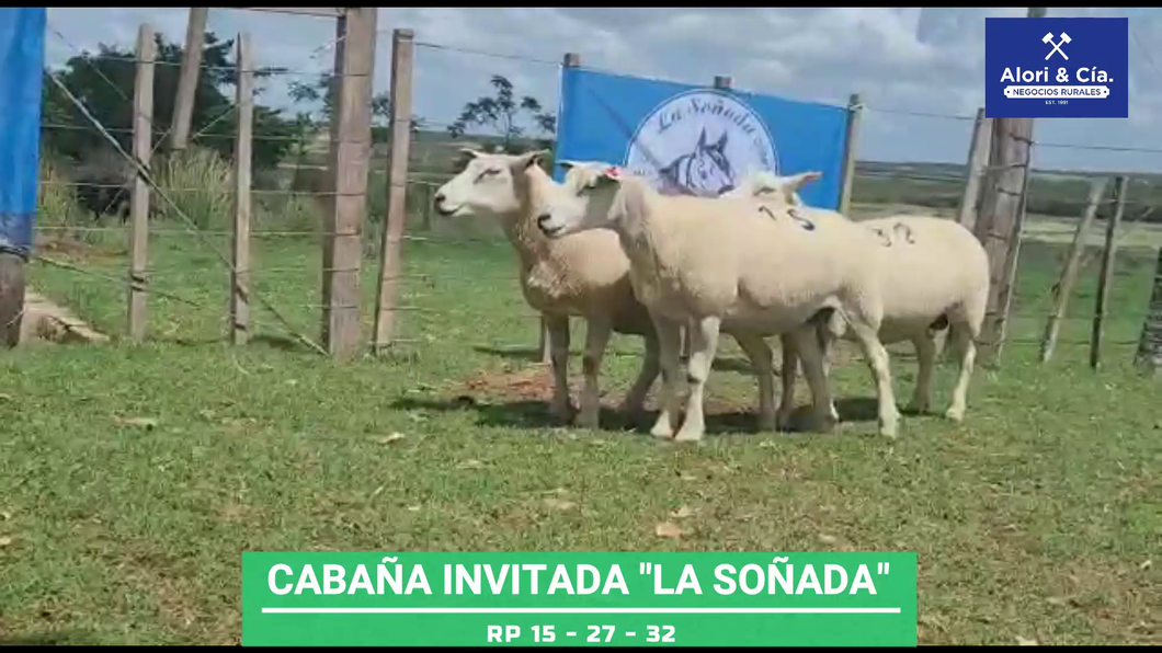 Lote "Cabaña invitada "" La soñada"""
