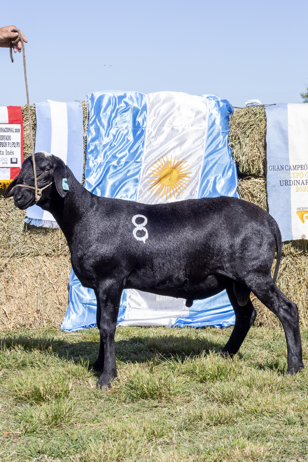 Lote SANTA INES P.P.