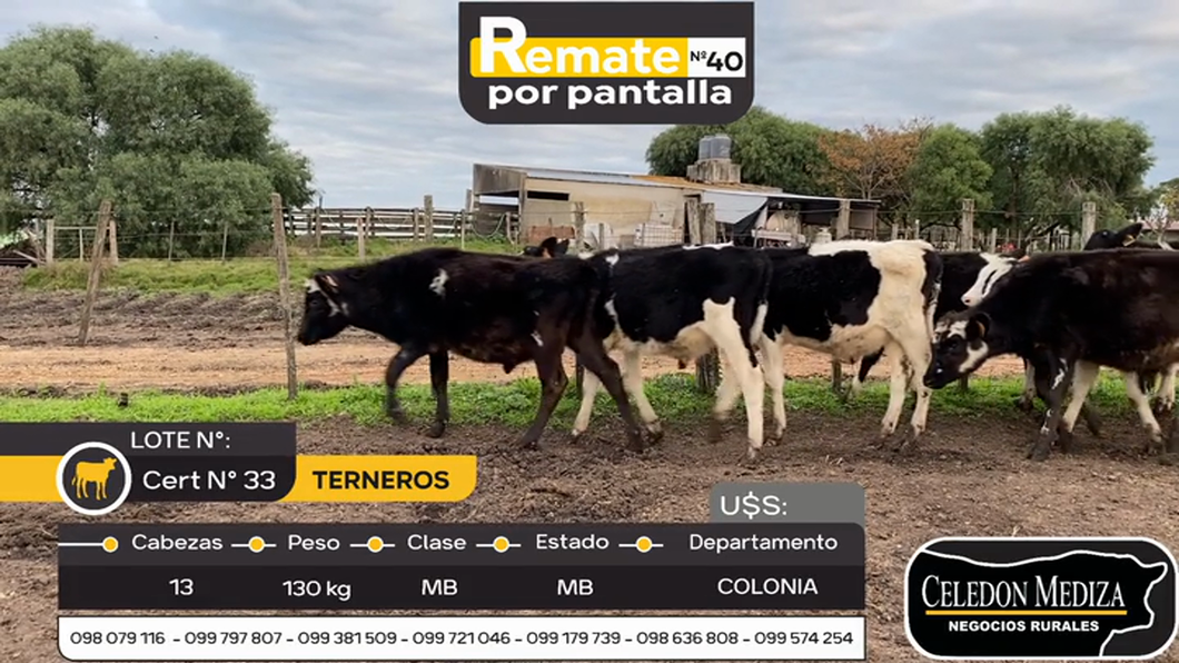 Lote 13 Terneros en Otra Localidad, Colonia