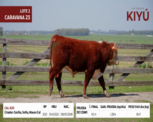 Lote CAL 620