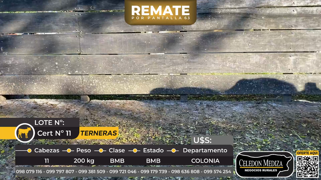 Lote 7 Terneras en Paso Antolín, a 19 km de Tarariras,  Colonia
