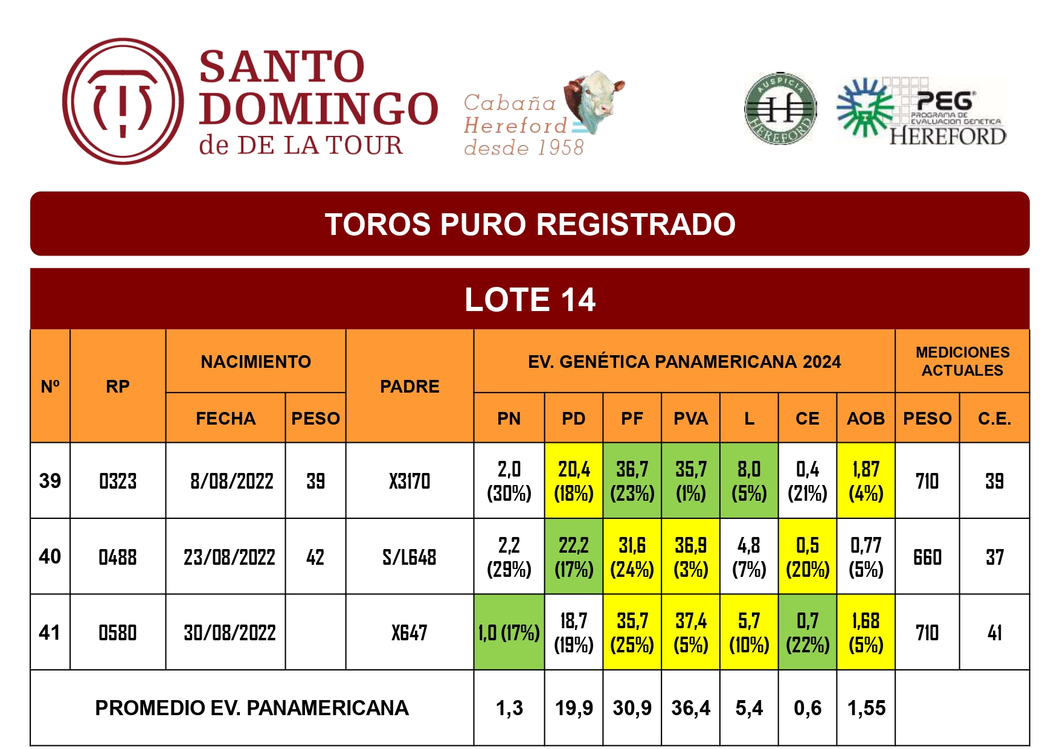 Lote TOROS PR (LOTES) - PR