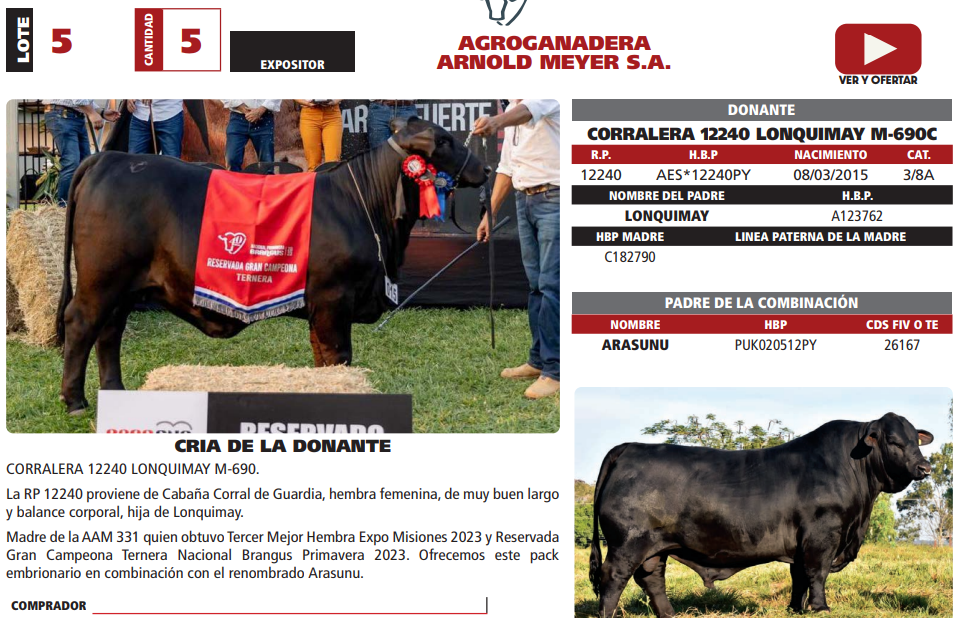 Lote LOTE 5