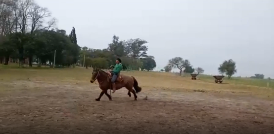 Lote RP 28  Simbronazo Dos Aguas