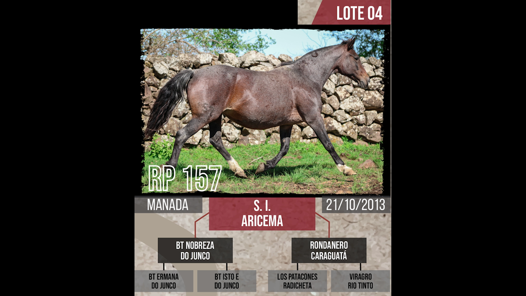 Lote S. I.  ARICEMA