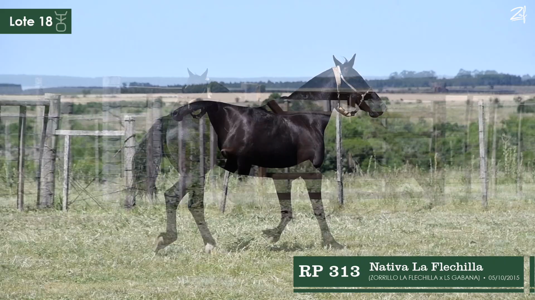 Lote Nativa La Flechilla