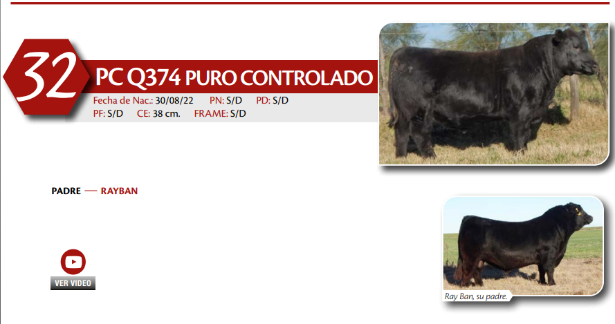 Lote MACHO PC