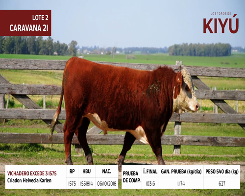 Lote VICHADERO EXCEDE 3 1575