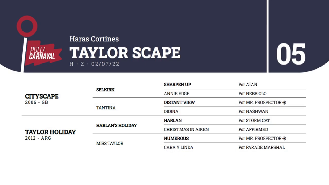 Lote TAYLOR SCAPE