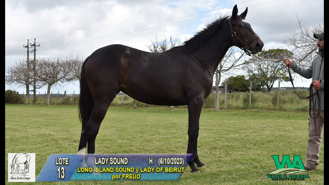 Lote LADY SOUND