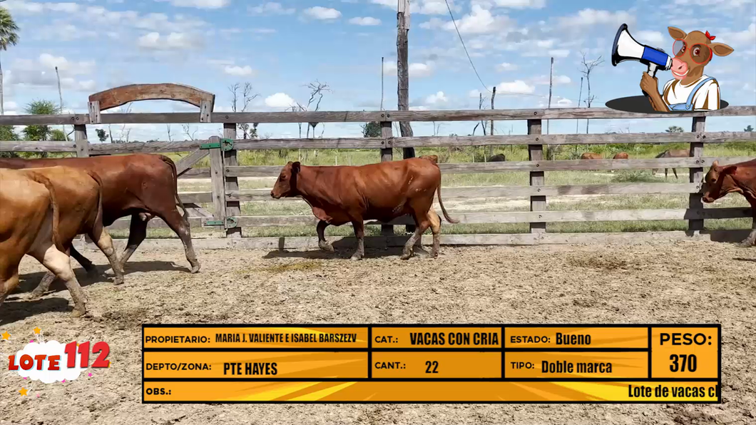 Lote LOTE 112
