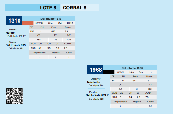 Lote CORRAL 8