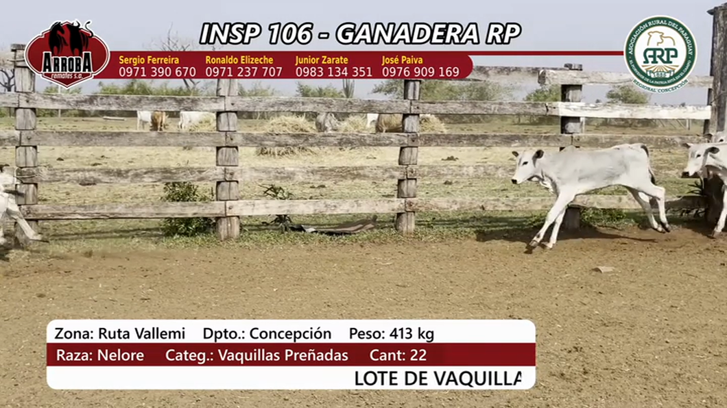 Lote Insp 106