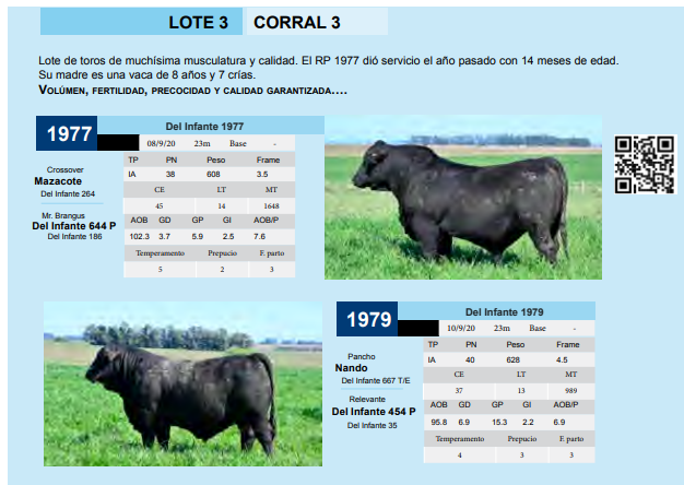 Lote CORRAL 3