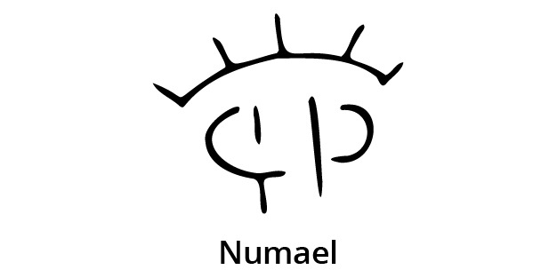 Lote 10 VAQ.  BASE COLORADAS "NUMAEL"
