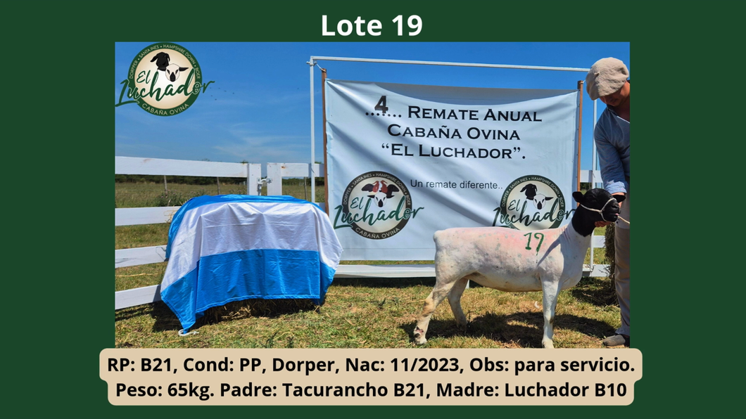 Lote PP