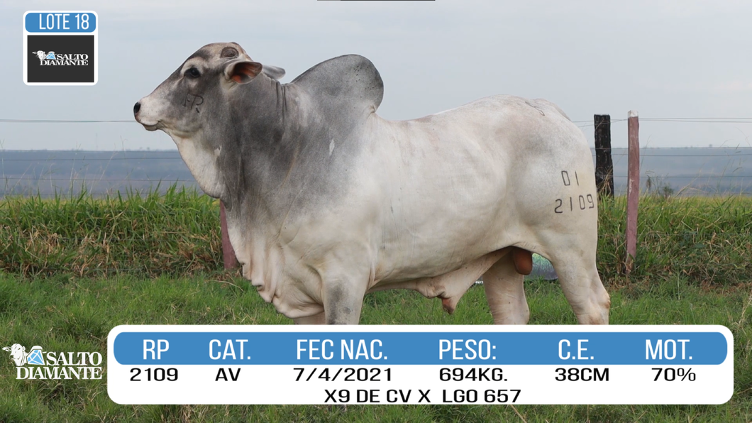 Lote LOTE 18