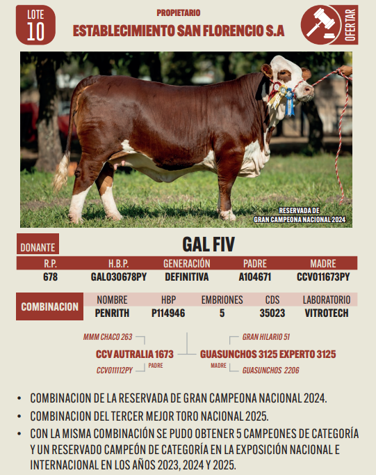 Lote LOTE 10