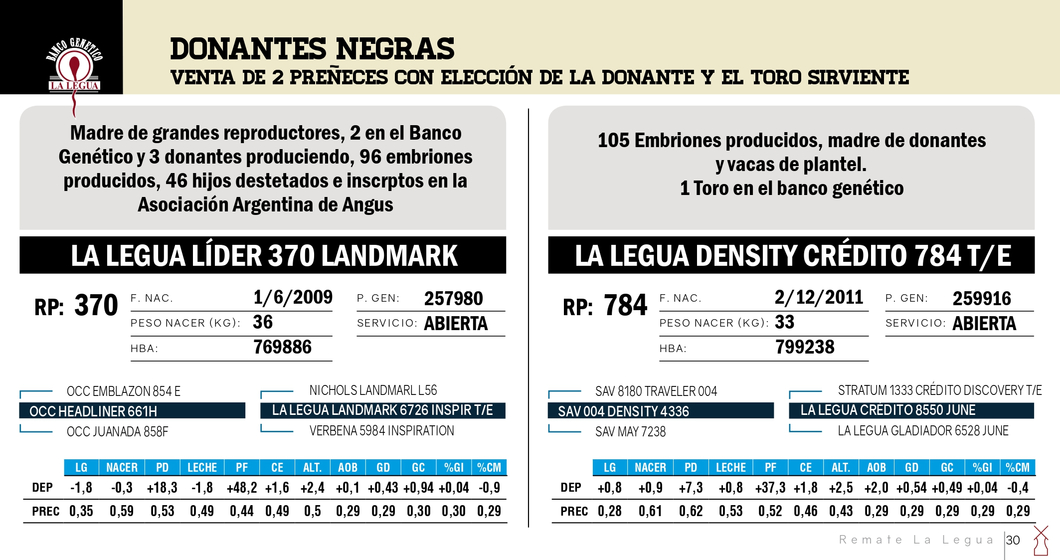 Lote DONANTES