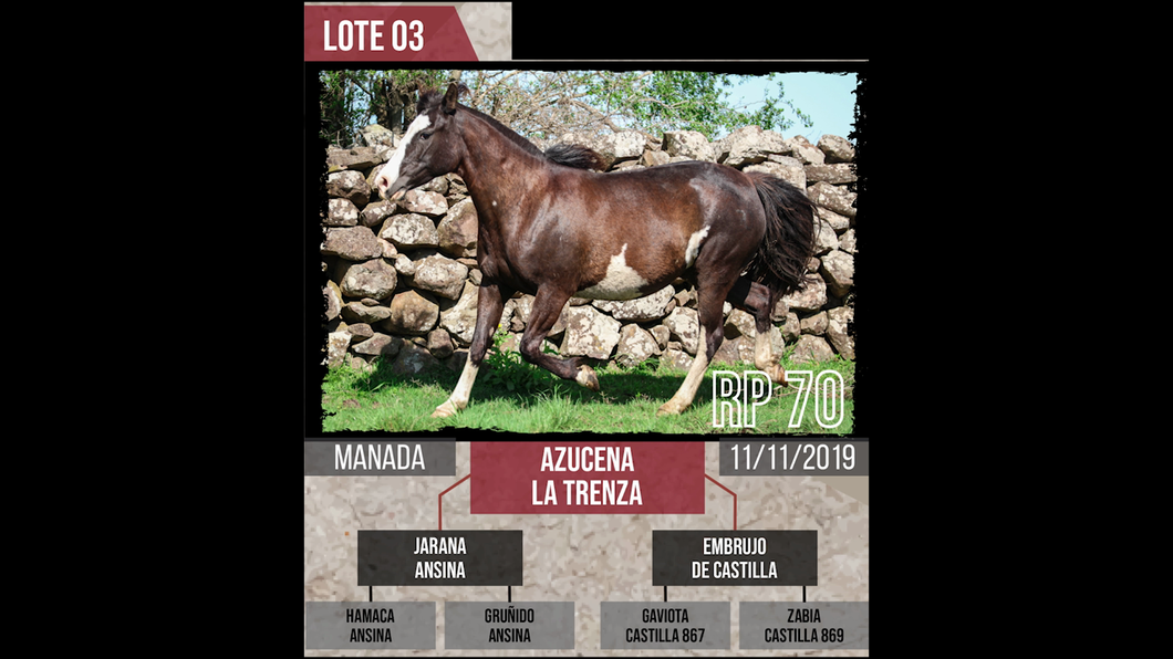 Lote AZUCENA  LA TRENZA