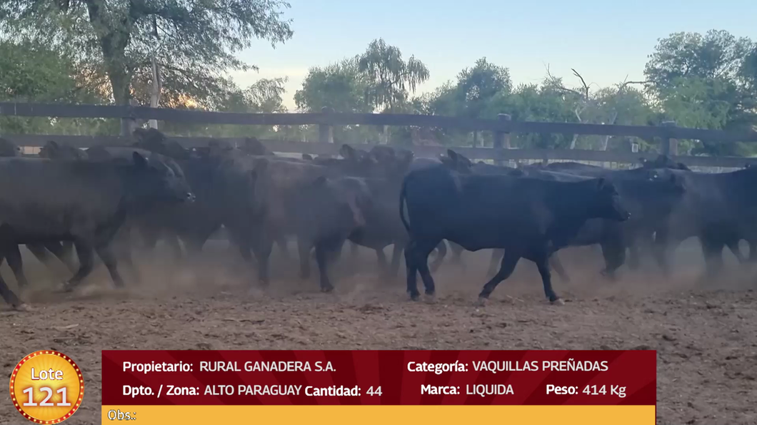 Lote LOTE 121