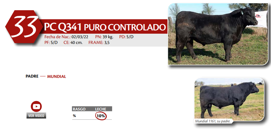 Lote MACHO PC