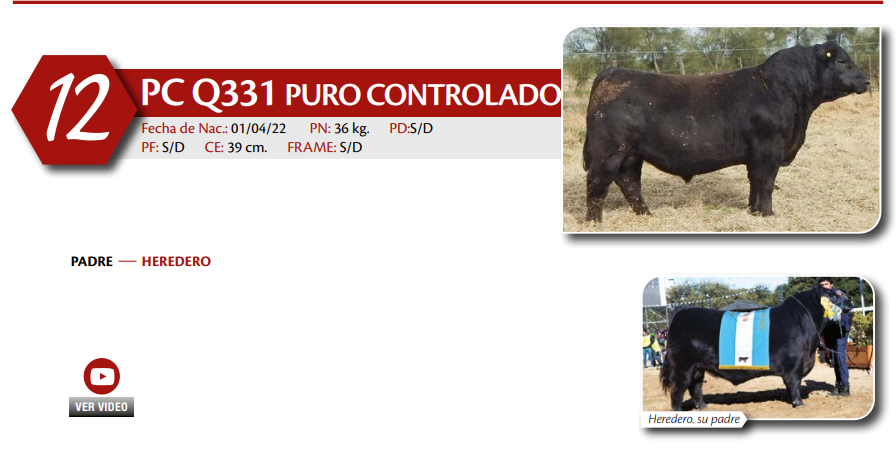 Lote MACHO PC