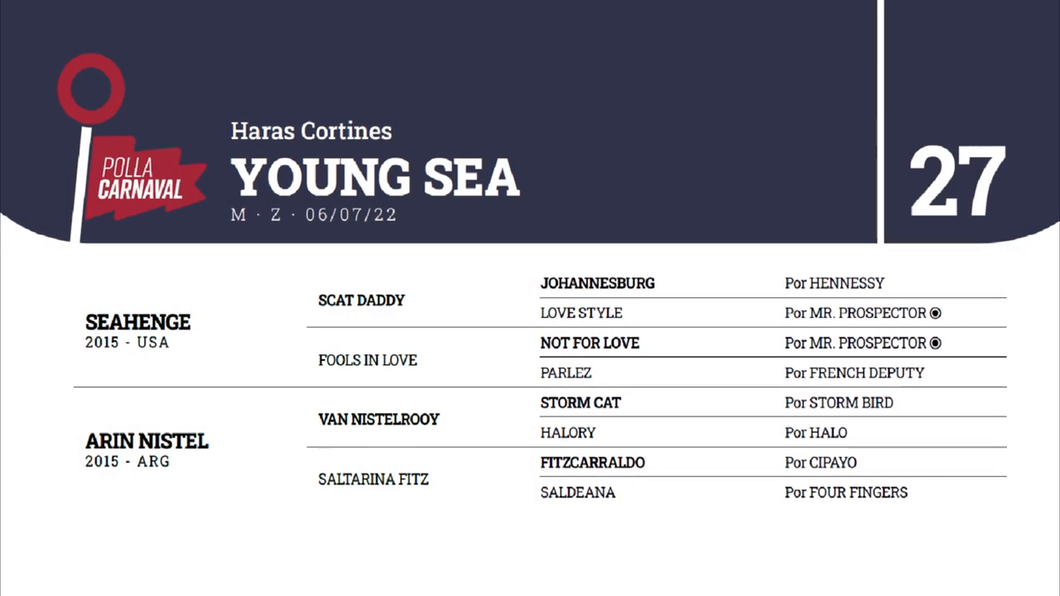 Lote YOUNG SEA