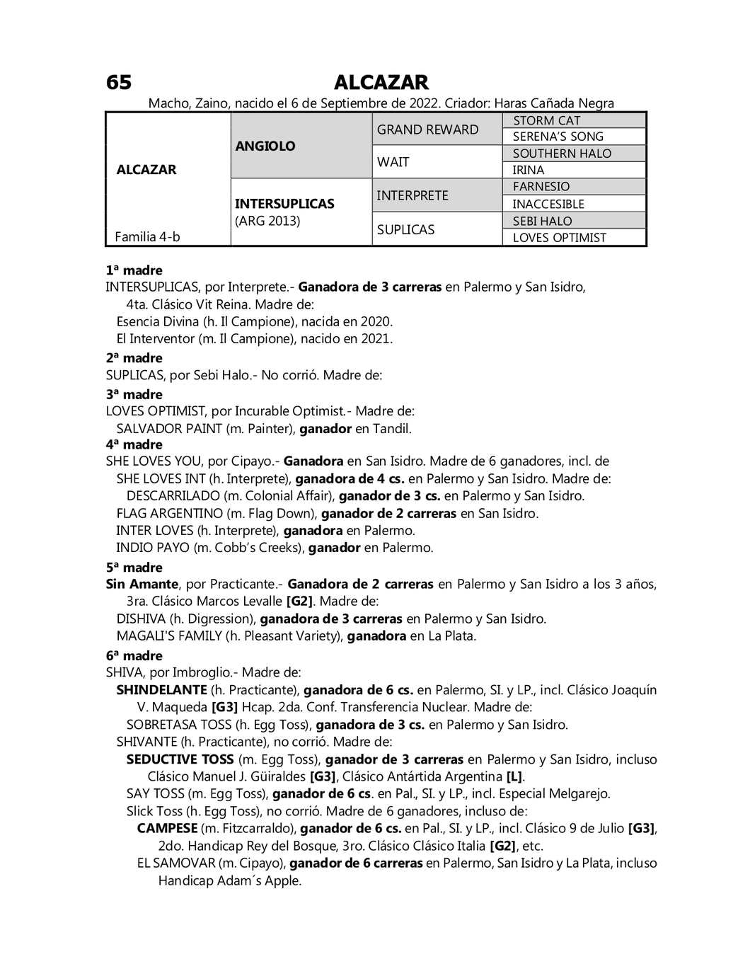 Lote ALCAZAR